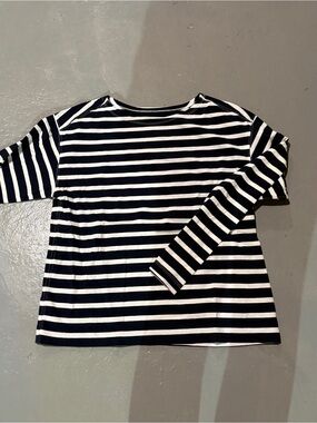 Everlane Mariner Boat Neck top
